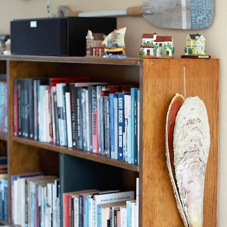 Cundavilla & Ayvalı