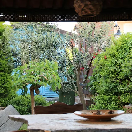 ホテル Cundavilla & Ayvalı