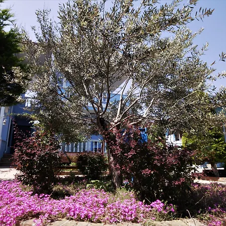 Szálloda Cundavilla & 2*