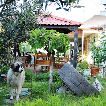 Szálloda Cundavilla & 2*