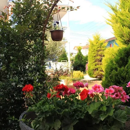 Szálloda Cundavilla & 2*