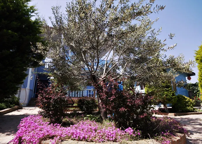 Hotel Cundavilla & 2*