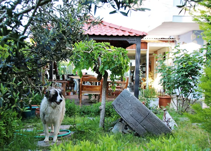 Hotel Cundavilla & 2*