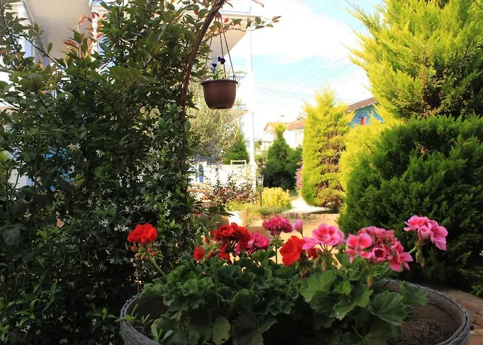 Hotel Cundavilla & 2*